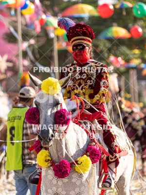 Detalhes da foto #82094