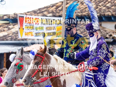 Detalhes da foto #94900