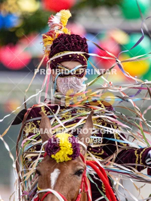 Detalhes da foto #93390