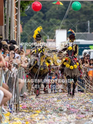 Detalhes da foto #98803