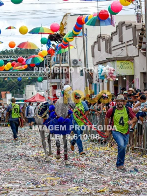 Detalhes da foto #72000