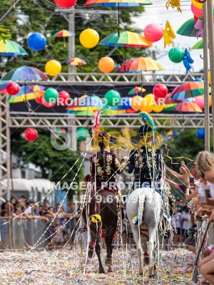 Detalhes da foto #43295