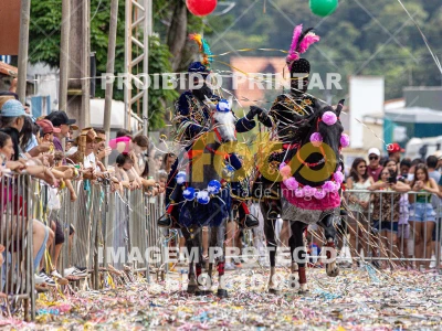 Detalhes da foto #50944