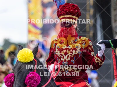 Detalhes da foto #51062