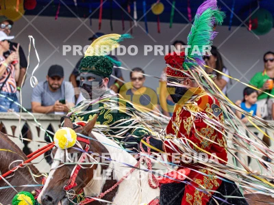 Detalhes da foto #42437