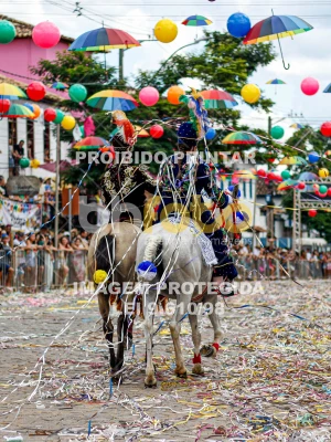 Detalhes da foto #79623