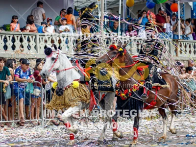 Detalhes da foto #87425