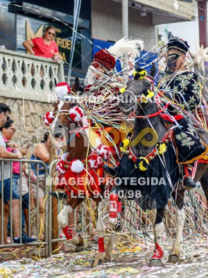 Detalhes da foto #64413