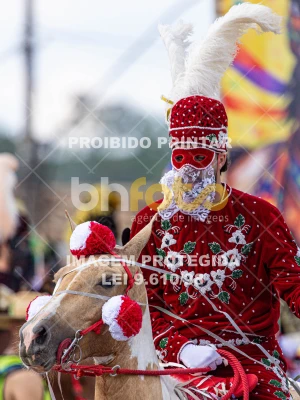 Detalhes da foto #87330