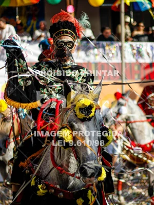 Detalhes da foto #16895