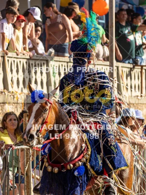 Detalhes da foto #70670