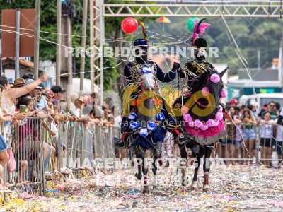 Detalhes da foto #23396