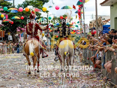 Detalhes da foto #44001