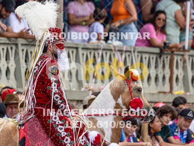 Detalhes da foto #11509