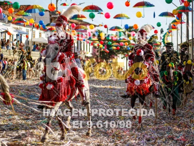 Detalhes da foto #22724