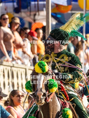 Detalhes da foto #70746