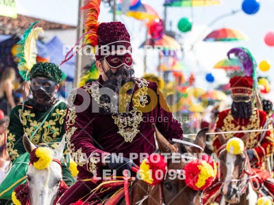 Detalhes da foto #90344