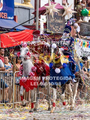 Detalhes da foto #45781