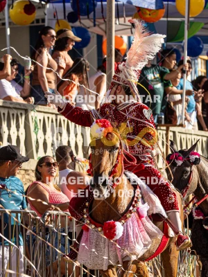 Detalhes da foto #93046