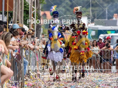 Detalhes da foto #85796