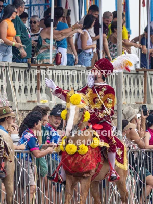 Detalhes da foto #86033