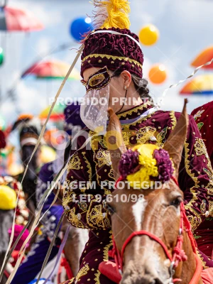 Detalhes da foto #16108