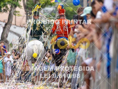 Detalhes da foto #11652