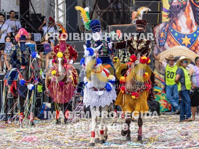 Detalhes da foto #51074