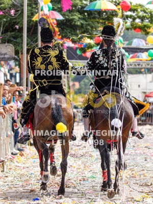 Detalhes da foto #50803