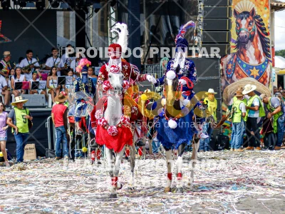 Detalhes da foto #62905