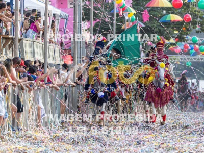 Detalhes da foto #95569