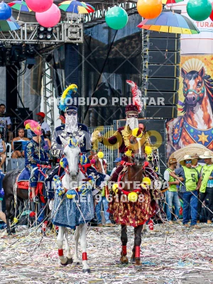 Detalhes da foto #25755