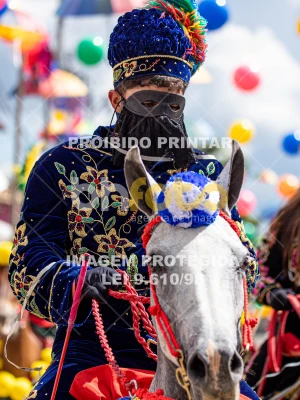 Detalhes da foto #45573