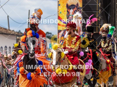 Detalhes da foto #14682