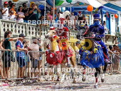 Detalhes da foto #62444