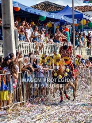 Detalhes da foto #57680