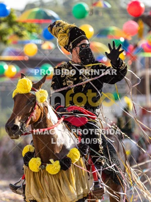 Detalhes da foto #47325