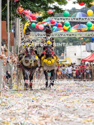 Detalhes da foto #15727