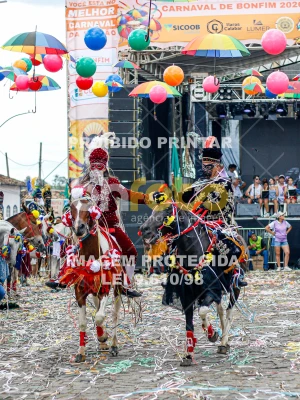 Detalhes da foto #19130