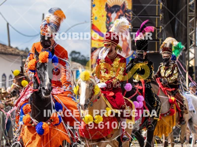 Detalhes da foto #28314