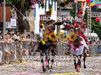 Detalhes da foto #49487