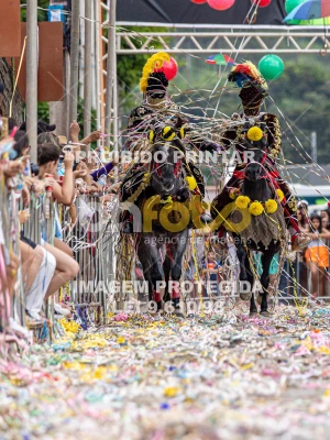 Detalhes da foto #40113