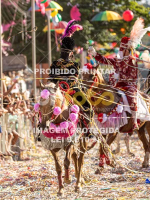 Detalhes da foto #64518