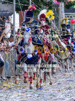 Detalhes da foto #99213