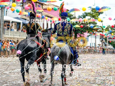 Detalhes da foto #79493