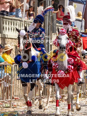 Detalhes da foto #18207