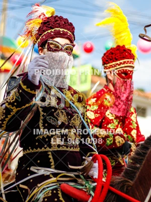 Detalhes da foto #15477