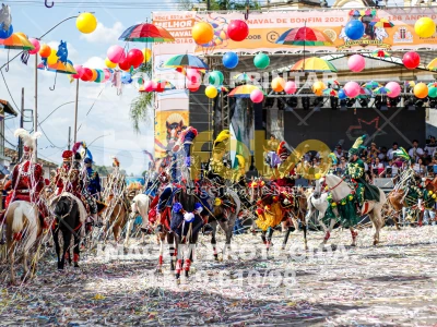 Detalhes da foto #16579