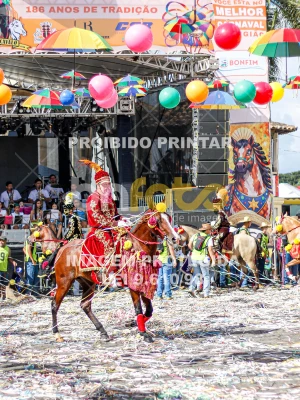 Detalhes da foto #27023