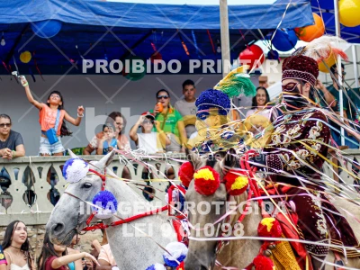 Detalhes da foto #98504